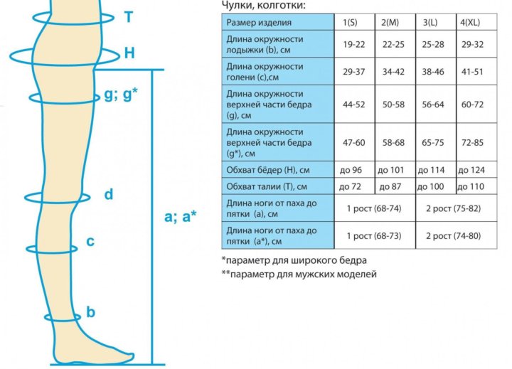 Guys pantyhose size