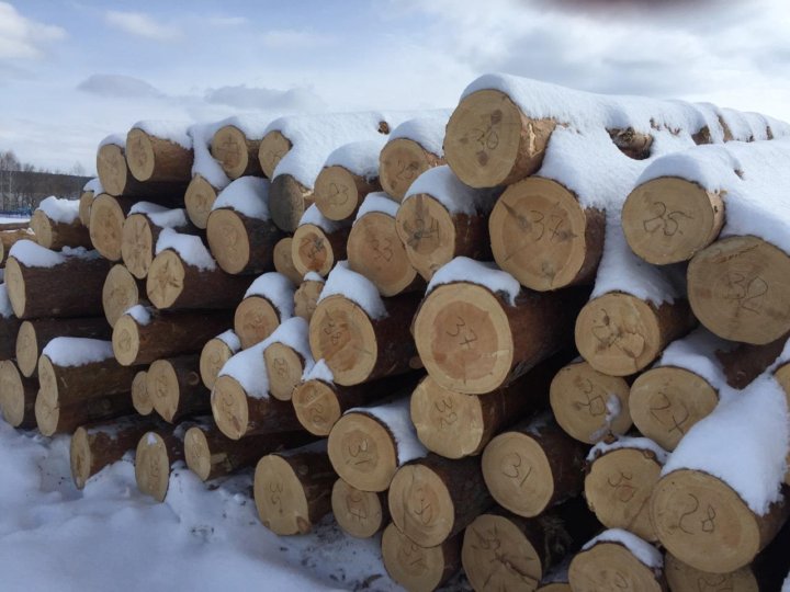 Где Купить Круглый Лес В Н Новгороде