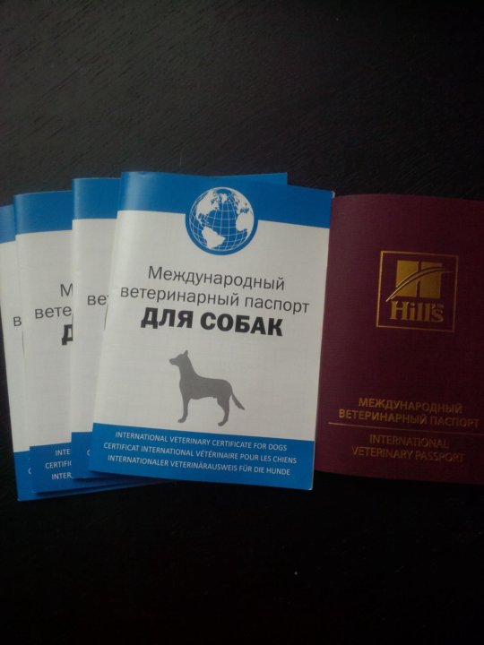 Где Можно Купить Ветеринарный Паспорт