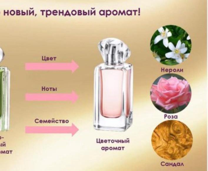 Духи Тудей В Интернет Магазине