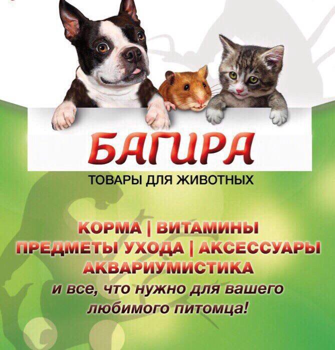 Продавец В Магазин Зоотоваров