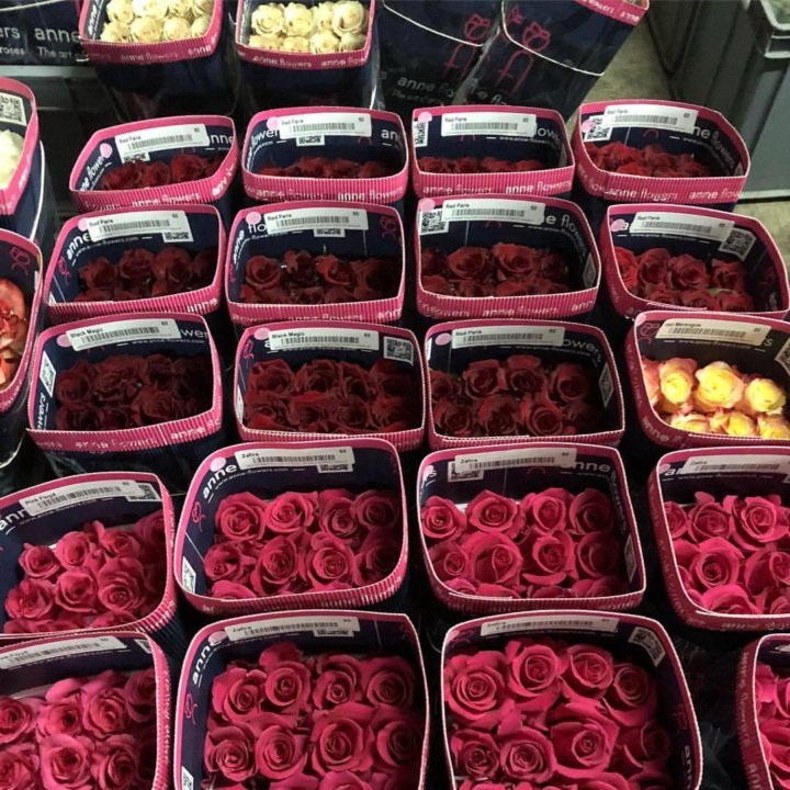 Где Купить Розы По Оптовой Цене