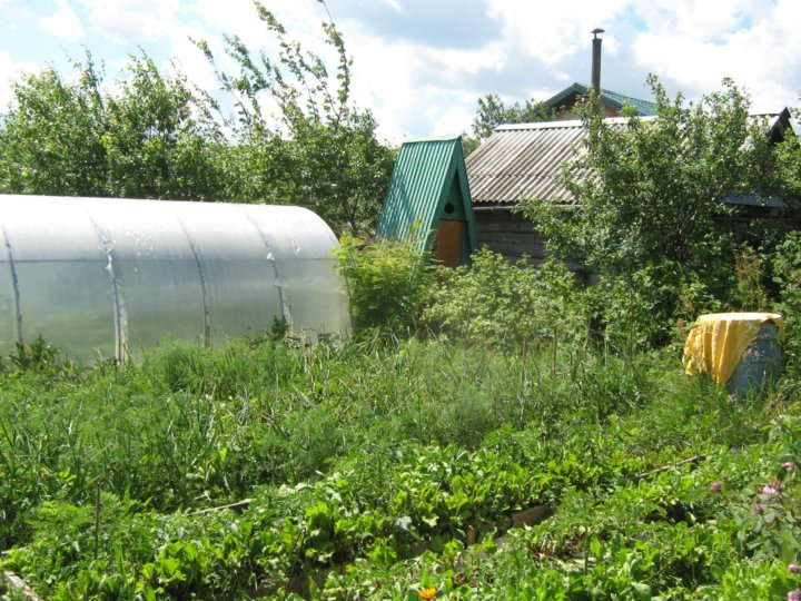 Авито Ульяновск Дачи С Фото – Telegraph