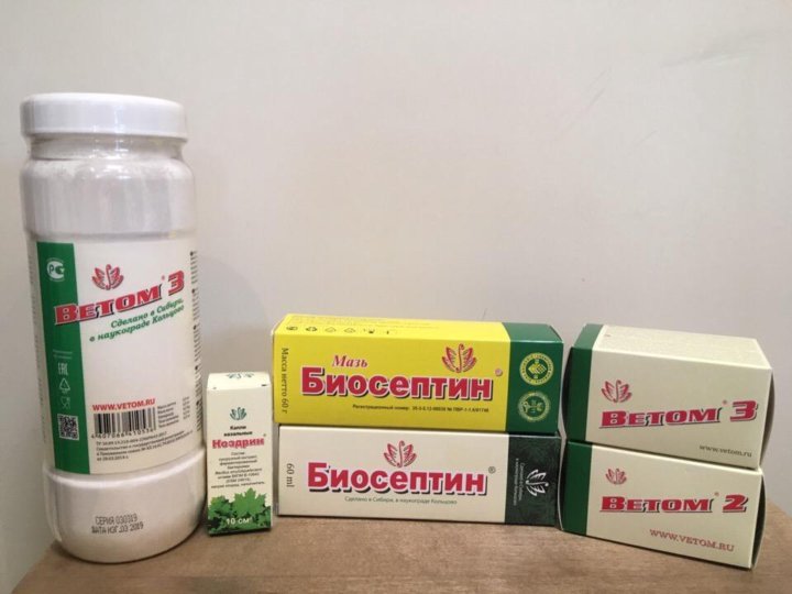 Купить Ветом 1.1 В Новосибирске В Аптеке