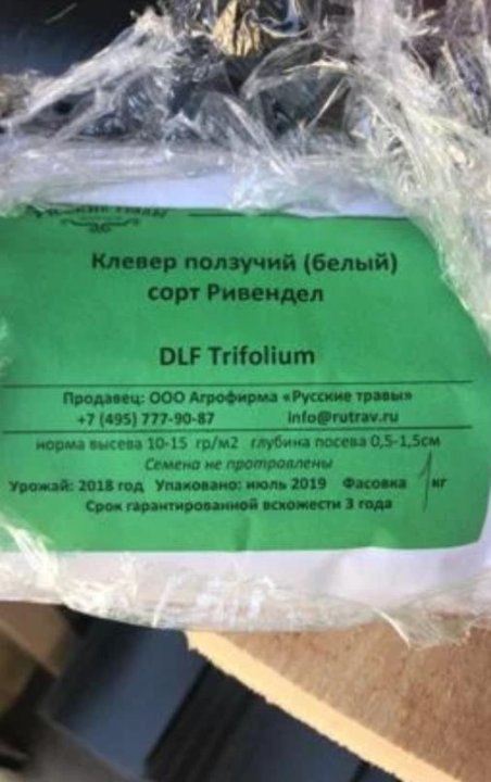 Магазин Семян Клевер