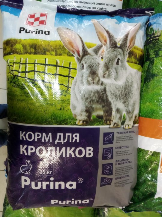 Где Можно Купить Корм Для Кроликов
