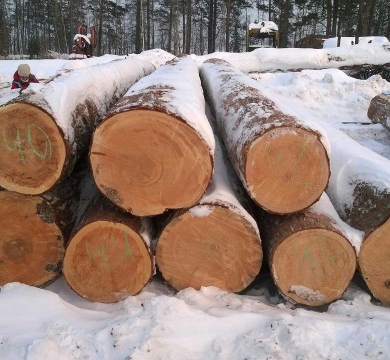 Где Купить Круглый Лес В Н Новгороде