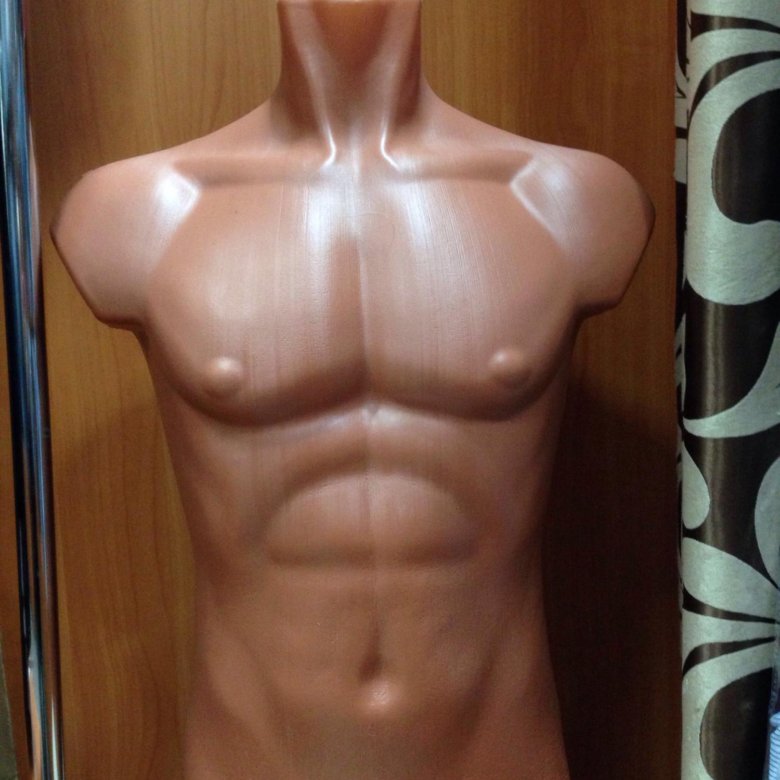 Купить Торс Фаллоимитатор