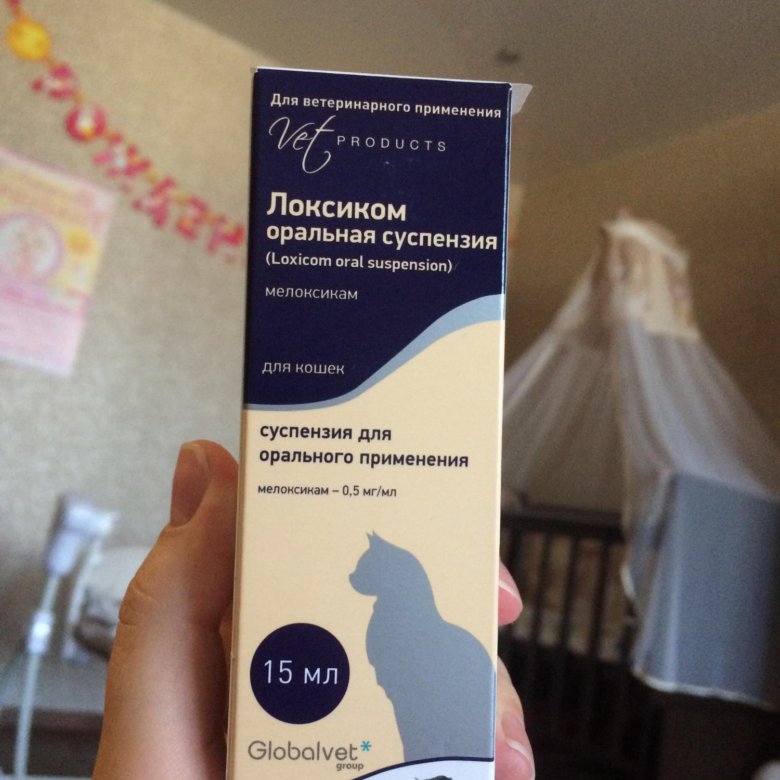 Локсиком Для Кошек Купить В Интернет Магазине