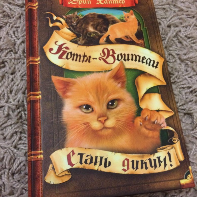 Книга Коты Воители Где Можно Купить