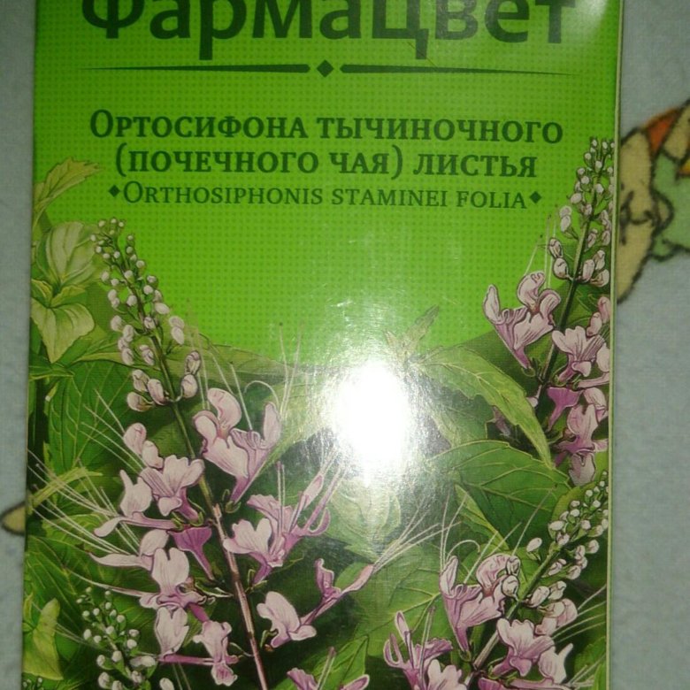 Ортосифон Тычиночный Купить В Аптеке Витебск