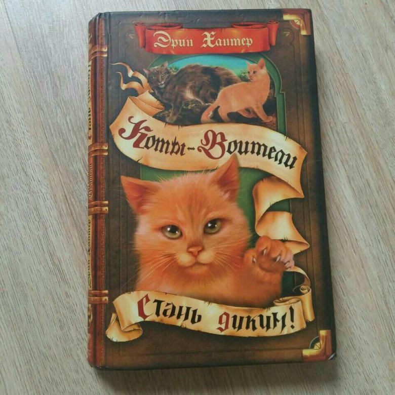 Книга Коты Воители Где Можно Купить