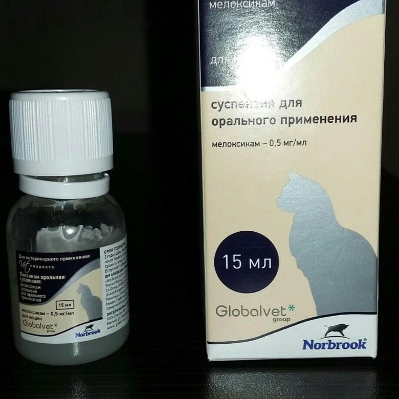 Локсиком Для Кошек Купить В Интернет Магазине
