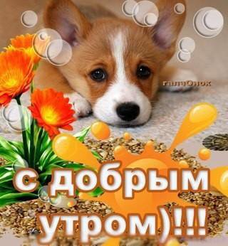 Открытка с добрым утром андрей 23