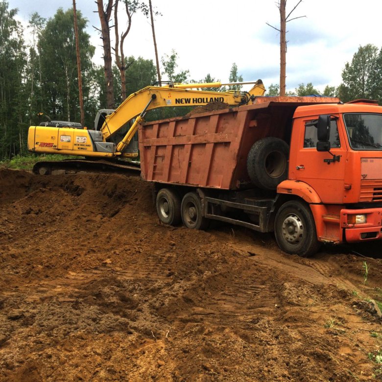 Посадка клубники осенью. Особенности высадки Как правильно посадить клубнику осенью : технология и схема, видео и фото