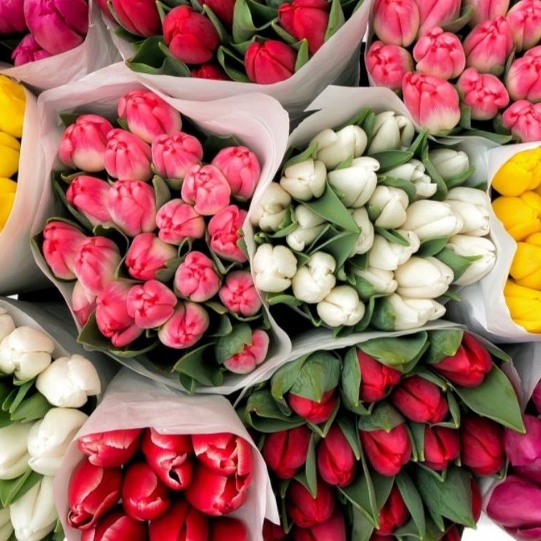 Где Купить Тюльпаны Новосибирск