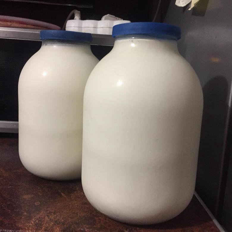 Где Можно Купить Домашнее Молоко