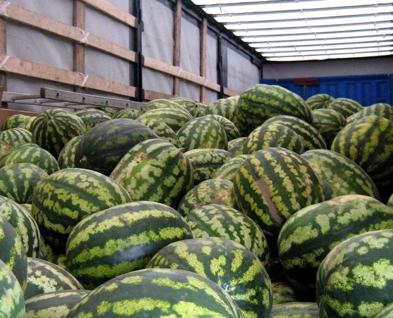 Магазин Арбуз Волгоград Красноармейский Район