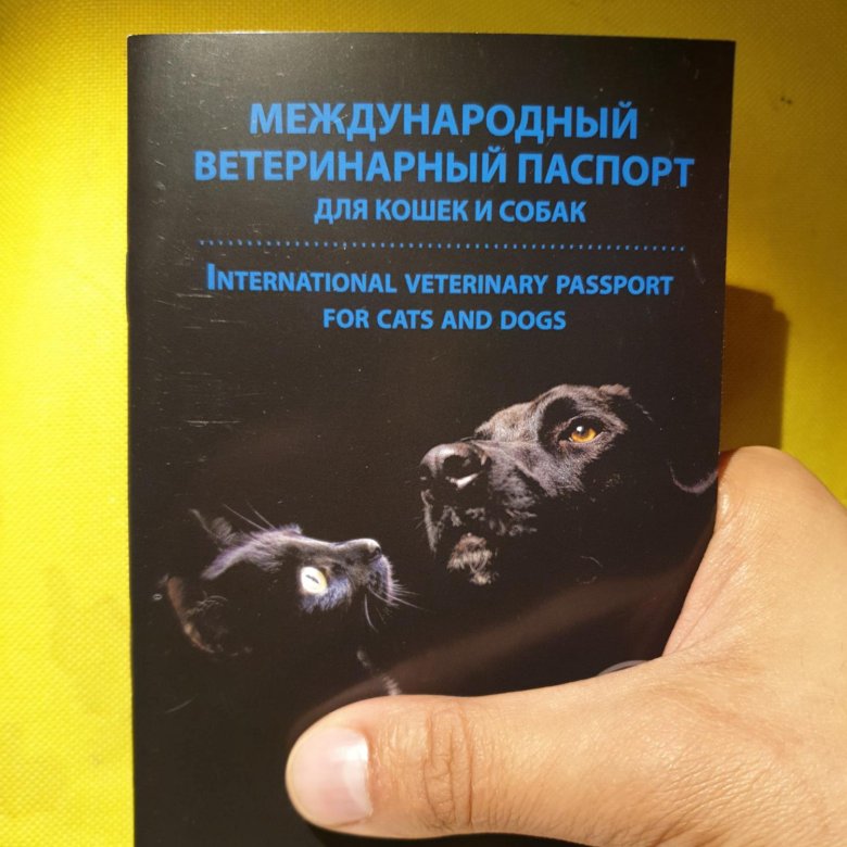 Где Можно Купить Ветеринарный Паспорт