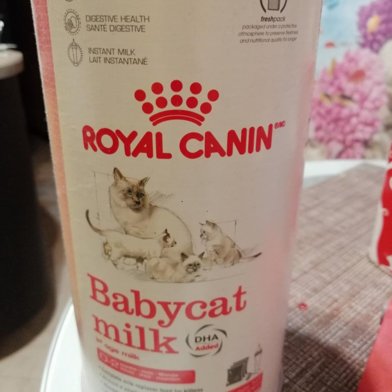 Где Можно Купить Кошачье Молоко