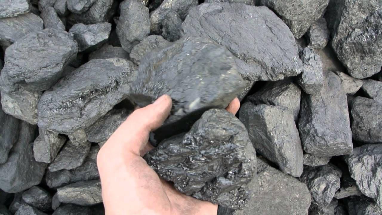 Где Бору Купить Уголь Сколько Стоит Тонна