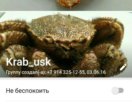 лодки под мотор во владивостоке лодки под мотор во владивостоке