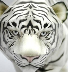 the white tiger essay India in the white tiger word count: 501 approx pages: 2 save essay view my saved essays downloads: 1 grade level: high school login or join now to rate the. the white tiger essay India in the white tiger word count: 501 approx pages: 2 save essay view my saved essays downloads: 1 grade level: high school login or join now to rate the.