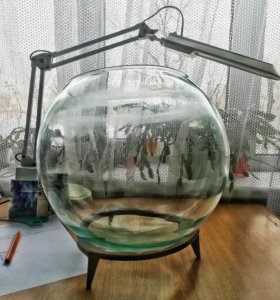 Аквариум сфера. Помпа для круглого аквариума. Аквариум сфера. Аквариум tetra cascade globe. Аквариумная сфера.