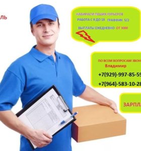 Курьер В Интернет Магазин Прямой Работодатель