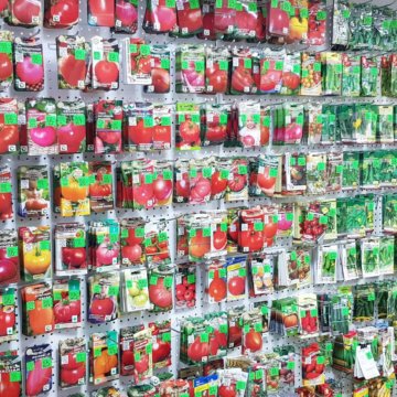 Купить Семена В Омске Магазины