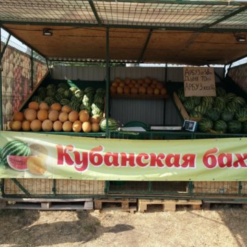 До обеда продали 65 всех привезенных в палатку овощей