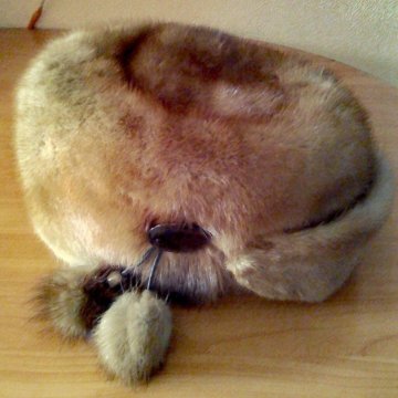 Нутривая шапка