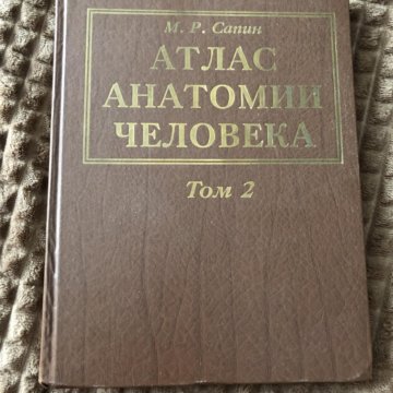 САПИН АТЛАС АНАТОМИИ ЧЕЛОВЕКА 4 ТОМ СКАЧАТЬ БЕСПЛАТНО САПИН АТЛАС АНАТОМИИ ЧЕЛОВЕКА 4 ТОМ СКАЧАТЬ БЕСПЛАТНО