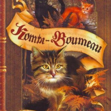 Читать полночь коты воители