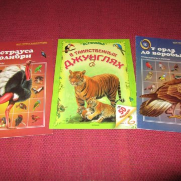 Плакат расписание уроков человек паук marvel – купить в Москве, цена 30 ...