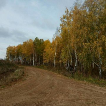 Синицинский Бор Тюменская область