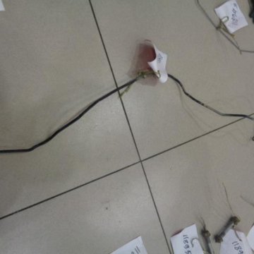 Тормозная трубка тойота королла 2008. Тормозная трубка тойота королла 2008. Toyota corolla e150 задние тормозные трубки. Трубка тормозная тойота королла е150. Тормозная трубка тойота королла 104 задняя.