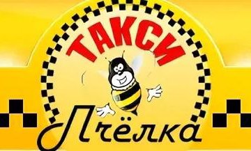 Такси тогучин телефон. Такси Пчелка Ленинск-Кузнецкий. Такси Тогучин Пчелка. Номер такси Пчелка. Такси Пчелка Ставрополь.