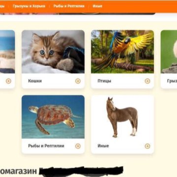 Зоологика Интернет Магазин Красноярск