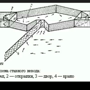 Ставной невод схема
