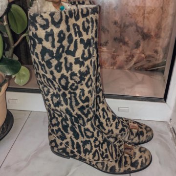 Сапоги baldinini