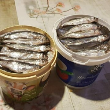 Тугунок Рыба Фото
