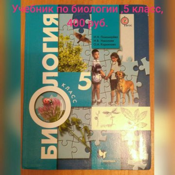 Учебники 5 Класс Интернет Магазин