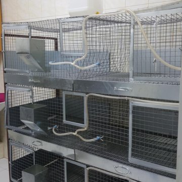 Все Для Кролиководства Интернет Магазин Пенза