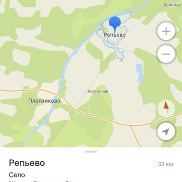 Репьево новосибирск карта