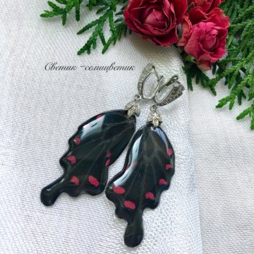 Серьги из крыльев бабочки