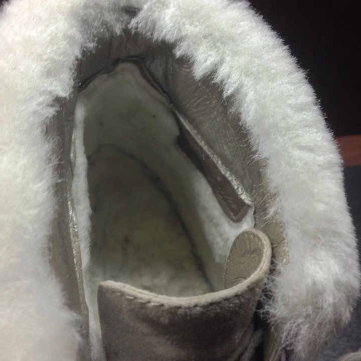 Бательоны зима