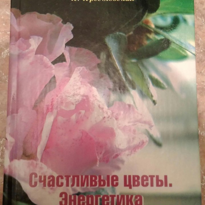 Новая Книга 