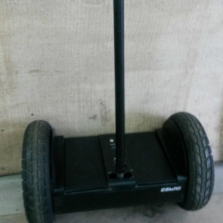 Segway Eswing