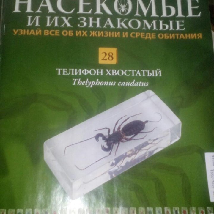 Коллекция насекомых